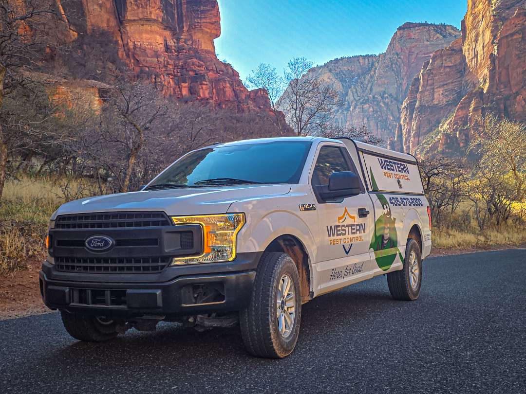 Western Pest Control truck